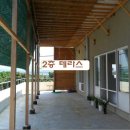 조천중학교 이미지