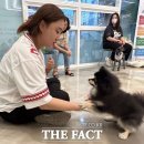 양지사거리체육공원 이미지