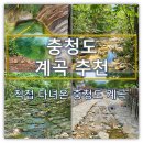 충청도충남충북횟집 | 충청도 계곡 추천 | 직접 다녀온 충북·충남 여름 계곡 4곳