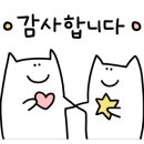 미채담샤브정 성서점