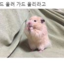 다정여성의원 네이버블로그