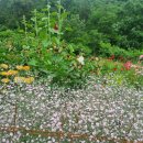 큰골농원 이미지