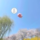 둘리돈까스