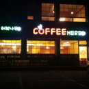 허브나무 이미지