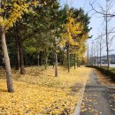 이모네세탁소 이미지