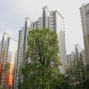 중앙하이츠빌1단지 이미지