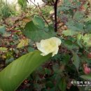 대일종합상사 이미지