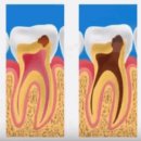 바닐라치과의원 이미지