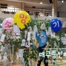 고령초등학교 졸업식 이미지