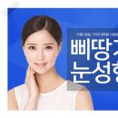 삐땅기의원 이미지