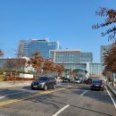 부강약국 | 임신13주 ~16주 태아성별 확인 &amp; 2차 기형아 검사까지의 기록