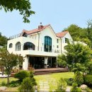 스테이카멜7 이미지