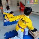 품 태권도장 이미지