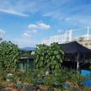 우석농장(2농장) 이미지