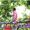 경북소머리곰탕 네이버블로그