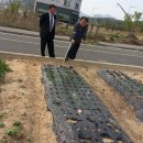 박종우농장 이미지