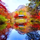 전남 장성 백양사 가을풍경 이미지