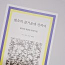 이상한 이승환 | 대문자 P의 2025 이승환 Good Fellows 관람 후기