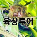 뚝딱맨 | 보홀 육상투어 가족여행 뚝딱투어 추천 후기