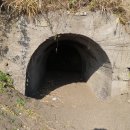 제주 일출봉 해안 일제동굴진지 이미지