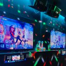 뉴코인싱어 이미지