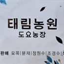 태림농원 이미지