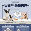 뉴월드동물병원 이미지