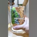 소정원 Daum카페