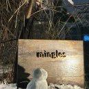 스타식당 이미지