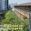 온천1동-7 | 대전벌목업체 학교 아파트 전지작업