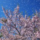 예향의 숲 이미지