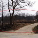 여주-1129 이미지