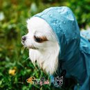 아이러브피부과의원 이미지