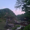 철원오대기사식당 이미지