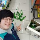 3얼딱정딱졍