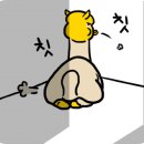 청대문 곤드레밥 이미지