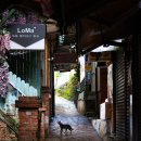 국토종주자전거길1-250 이미지