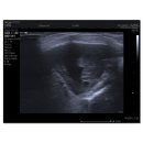 S동물의료센터 이미지