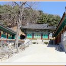 팔공산힐링 이미지