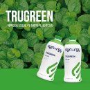 그린시너지 이미지