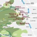 달빛관광 코스 이미지