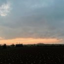 스테이느으린 이미지