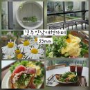 35카페 | 경주 양남 대형카페 울산애견동반카페 35mm 솔직후기