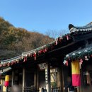 지곡천 | 한국민속촌 야간개장 후기｜오후권 할인 팁 + 퍼레이드 동선 총정리