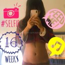 (주)메디뱅크 | 임신 16주 증상 /첫태동/태동시기/임부속옷 / 임신 안정기/태반완성/16주입덧/16주 태아크기/16주 태아...