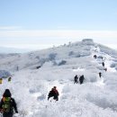 경북 1