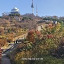 남산공원 이미지