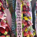 (주)참옻나라 이미지