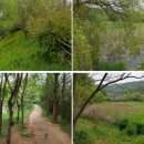 가림산둘레길 이미지