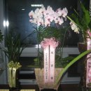 현호상사 이미지